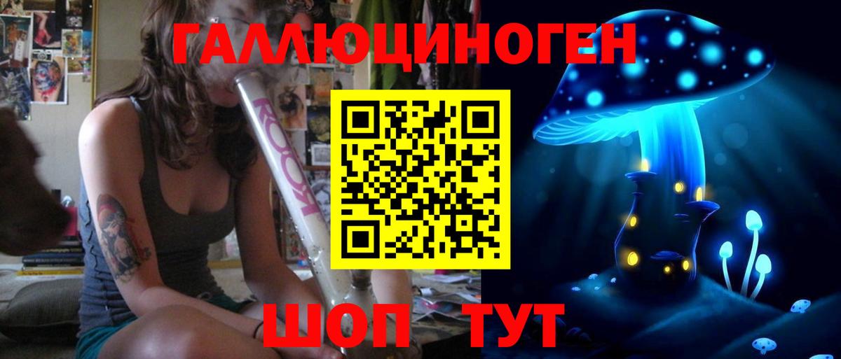 Псилоцибиновые грибы Psilocybe  Вход с VPN  Псилоцибиновые грибы прущие грибы  Димитровград 